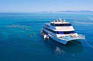 The Essential Things To Bring For Cairns Day Tours